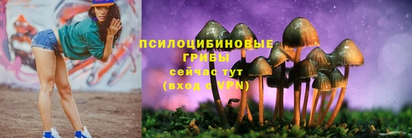 крисы Наволоки