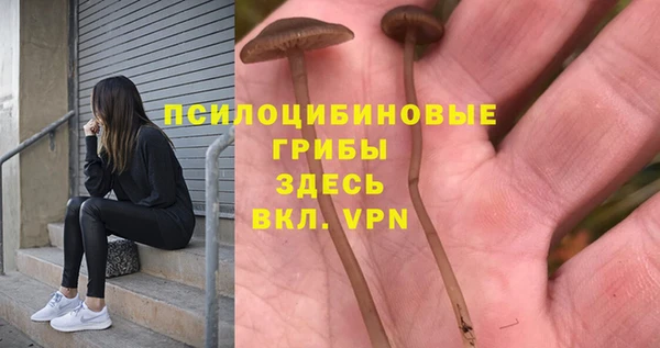 мдпв Абаза