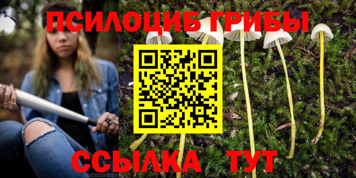 купить наркотик  Псилоцибиновые грибы мицелий  Вход с VPN  Галлюциногенные грибы мицелий  Приморско-Ахтарск 