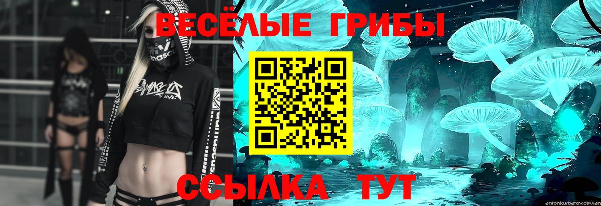 Галлюциногенные грибы Psilocybine cubensis Приморско-Ахтарск