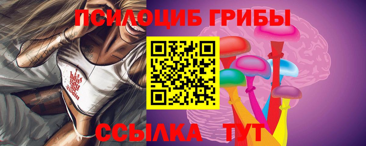 Приморско-Ахтарск  Галлюциногенные грибы мицелий  Вход с VPN 