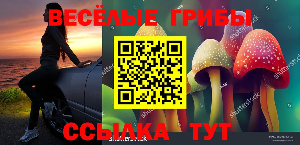 Галлюциногенные грибы GOLDEN TEACHER Приморско-Ахтарск